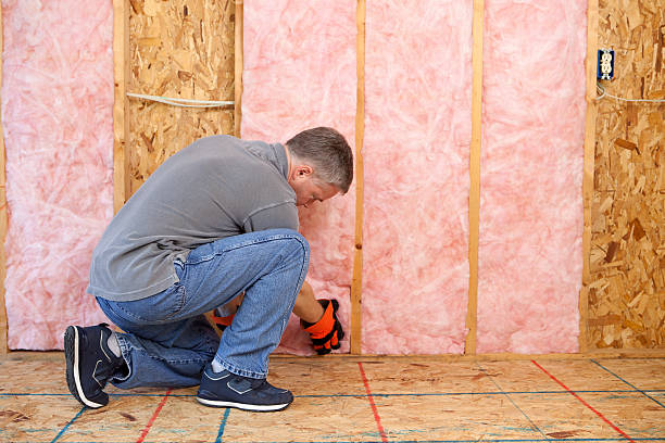 Best Geographic-Specific Insulation Services in Stormstown, PA